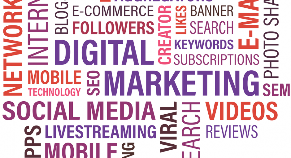 Developing a Digital Solution